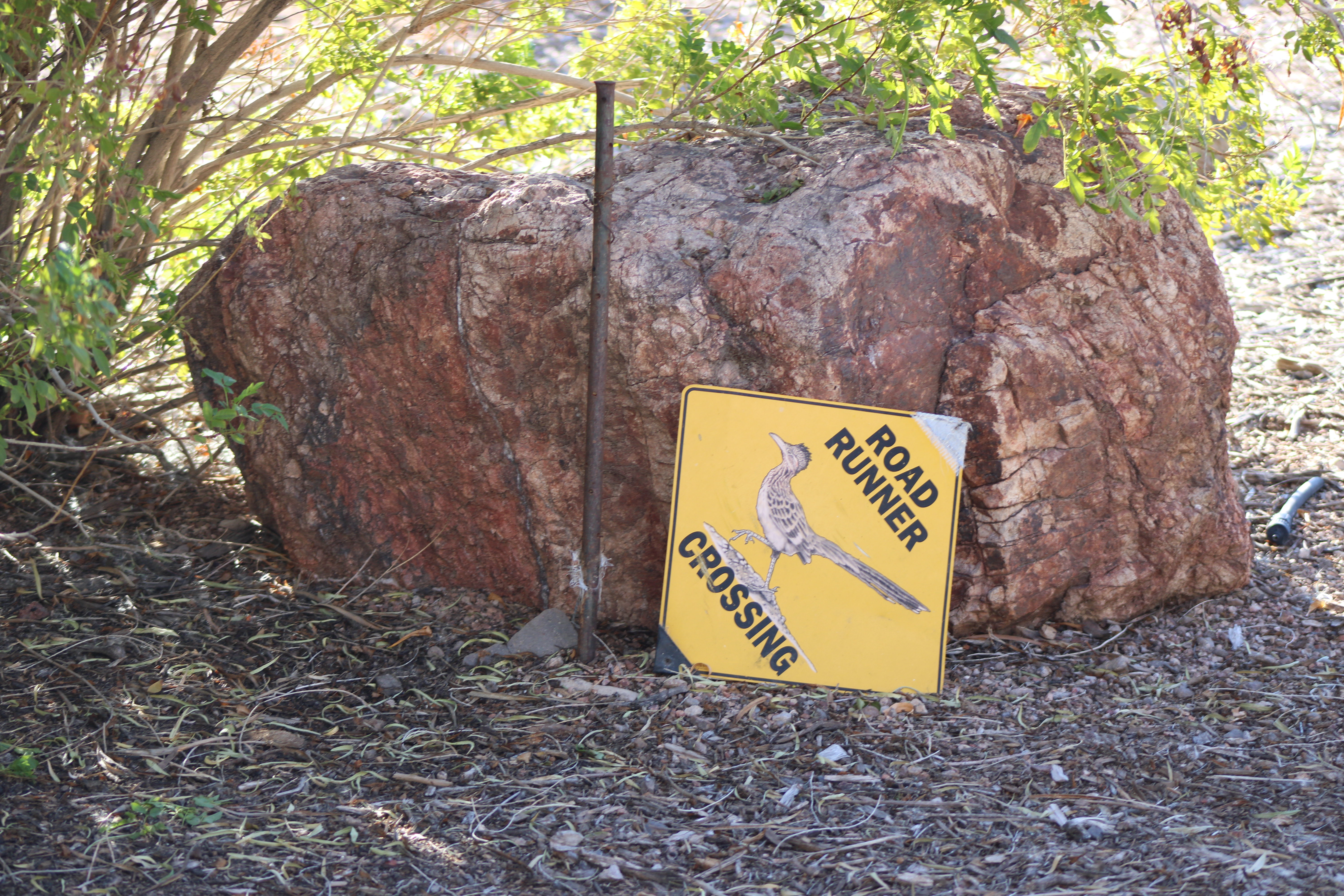 Roadrunner Crossing sign (Henderson, NV)