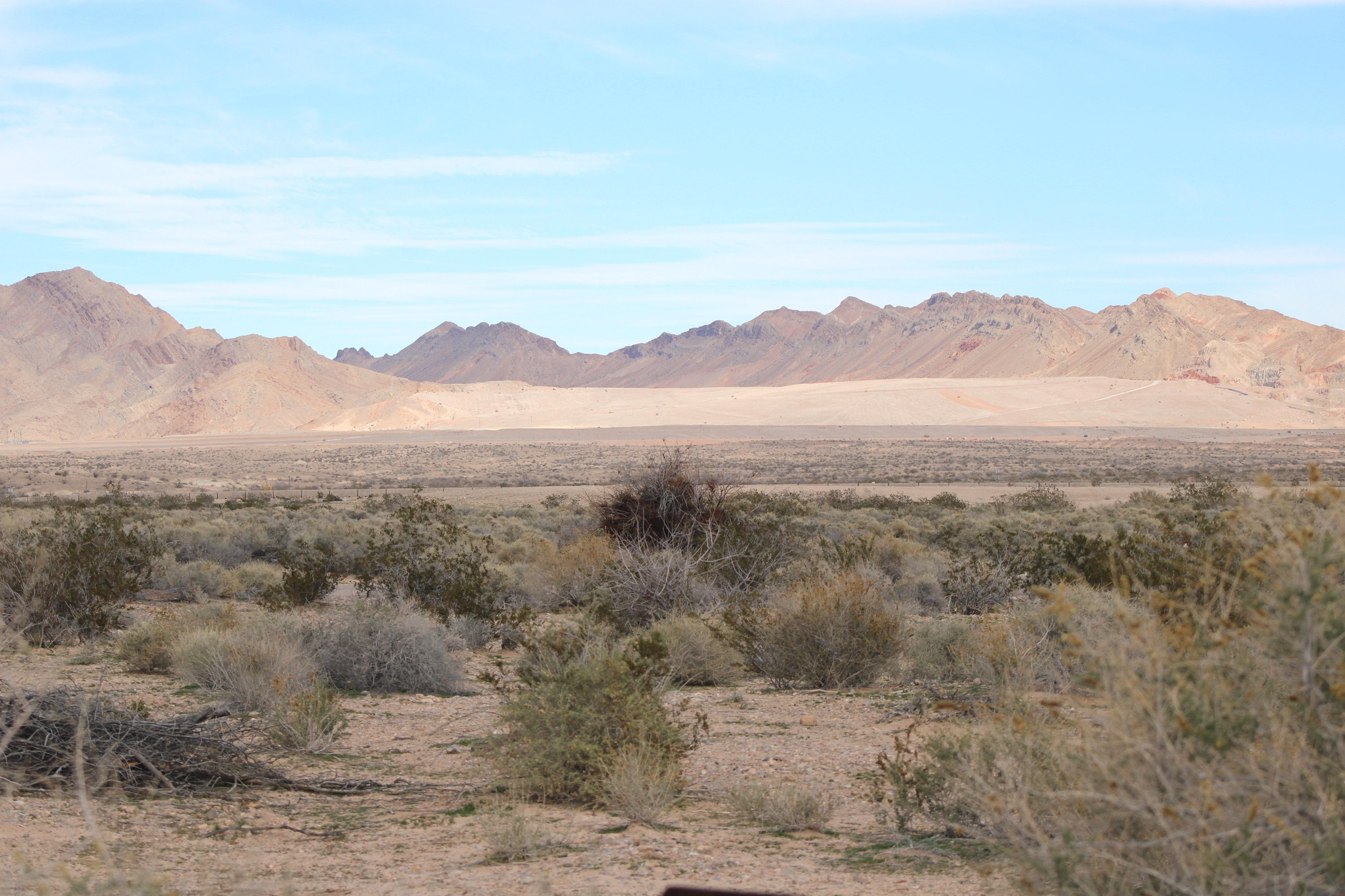 desert (Henderson, NV)