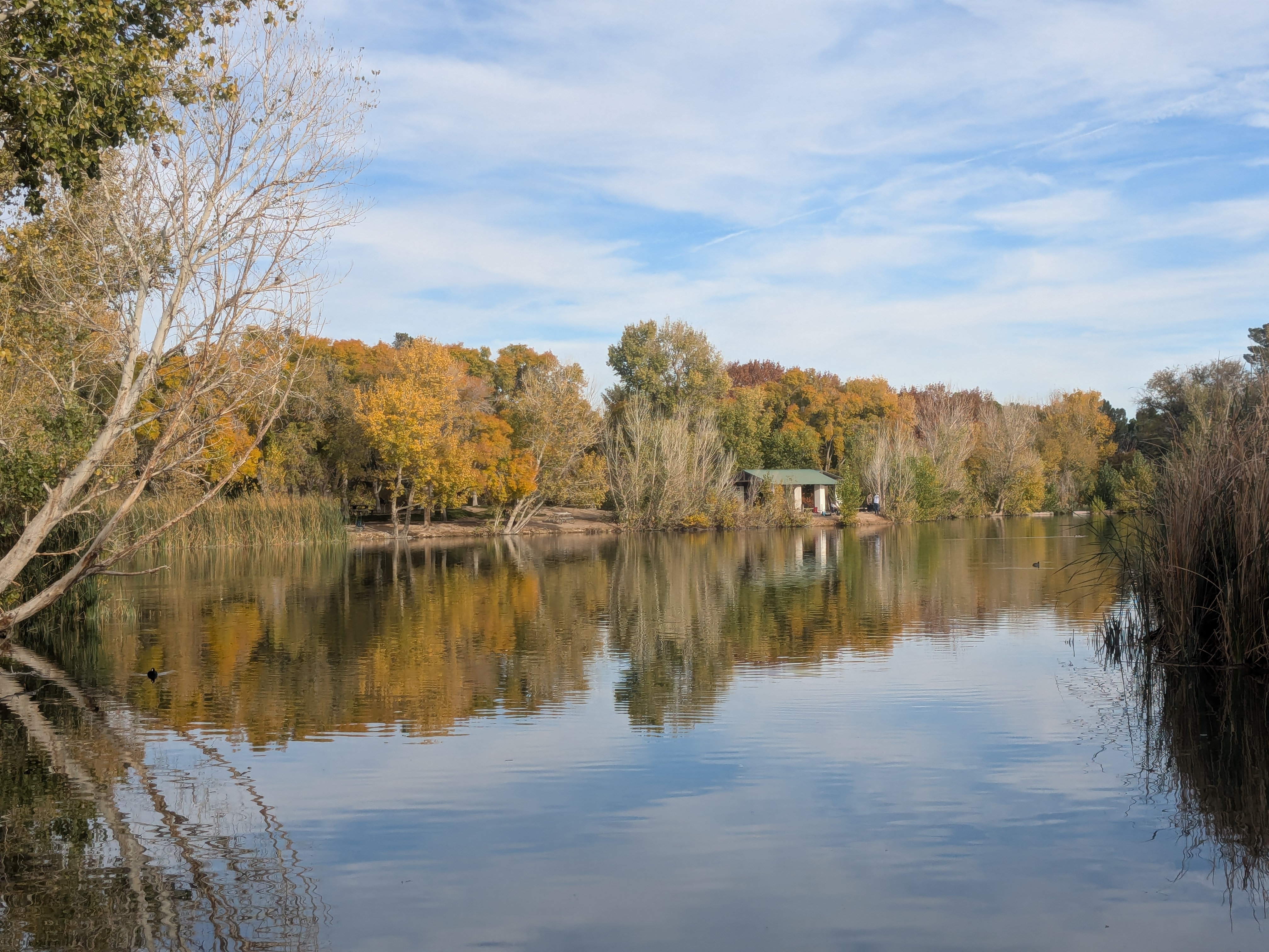 Floyd Lamb Park during autumn (Las Vegas, NV)